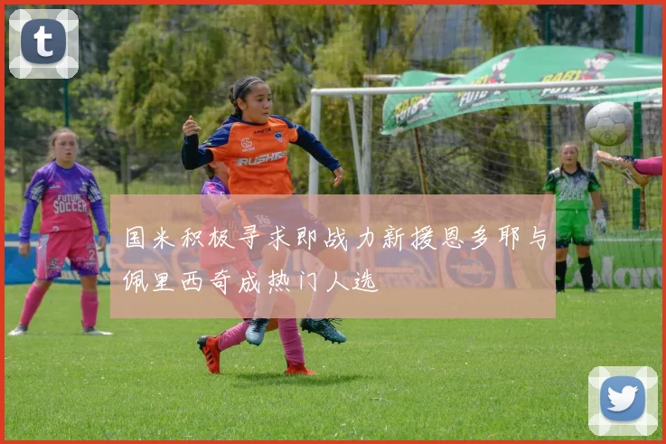 国米积极寻求即战力新援恩多耶与佩里西奇成热门人选