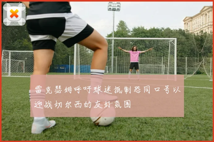 雷克瑟姆呼吁球迷抵制恐同口号以迎战切尔西的友好氛围